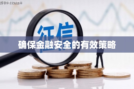 松北确保金融安全的有效策略