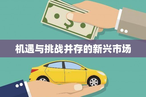 松北机遇与挑战并存的新兴市场