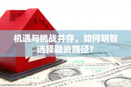 松北机遇与挑战并存，如何明智选择融资路径？