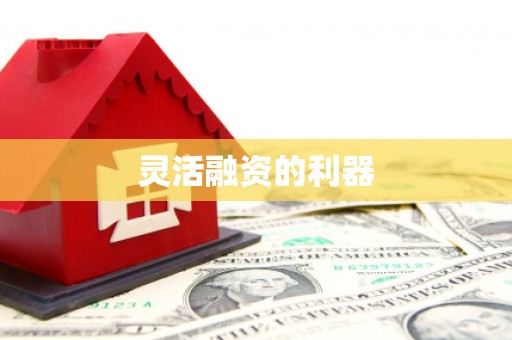 松北灵活融资的利器