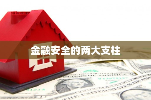 松北金融安全的两大支柱