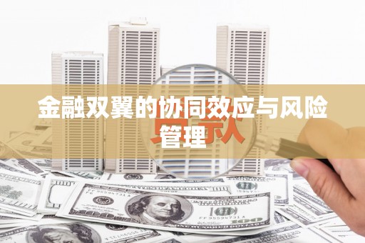 松北金融双翼的协同效应与风险管理