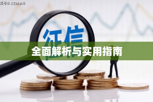 松北全面解析与实用指南