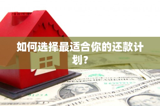 松北如何选择最适合你的还款计划？