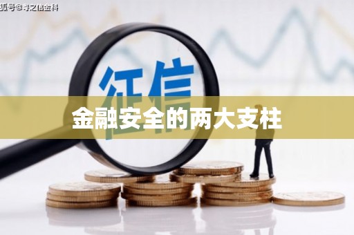 松北金融安全的两大支柱