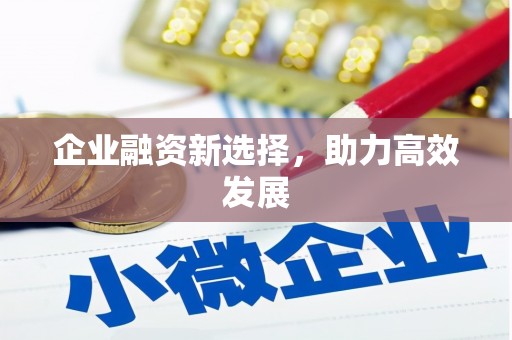 松北企业融资新选择，助力高效发展