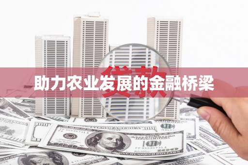 松北助力农业发展的金融桥梁