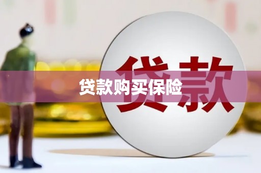 松北贷款购买保险