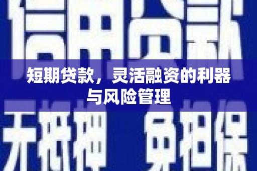 松北短期贷款，灵活融资的利器与风险管理