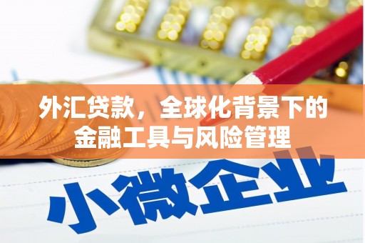 松北外汇贷款，全球化背景下的金融工具与风险管理