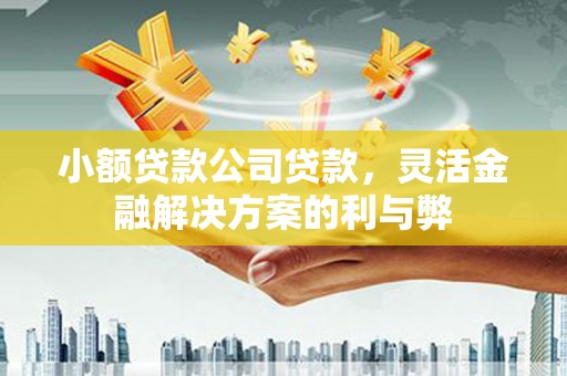 松北小额贷款公司贷款，灵活金融解决方案的利与弊