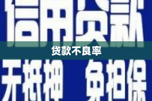 松北贷款不良率