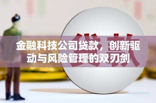 松北金融科技公司贷款，创新驱动与风险管理的双刃剑