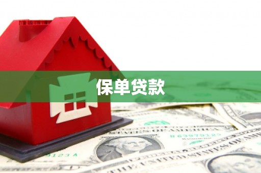 松北保单贷款 松北保单贷款